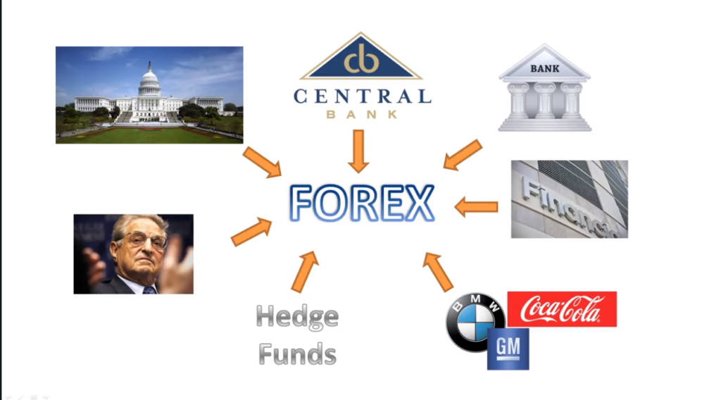 Players in the Forex Market. - Learn Forex Analysis